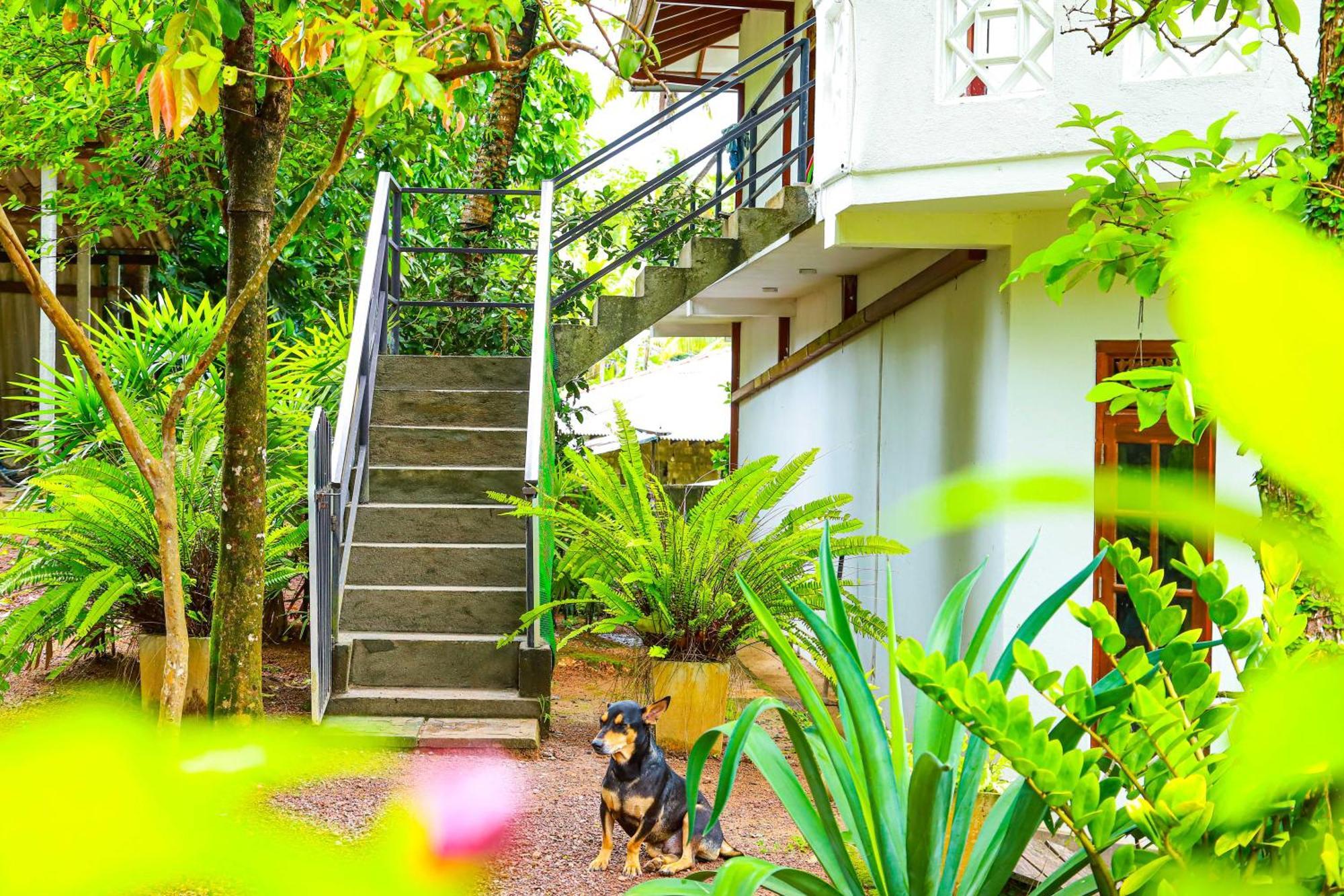 Dil'S Place ベールワラ エクステリア 写真